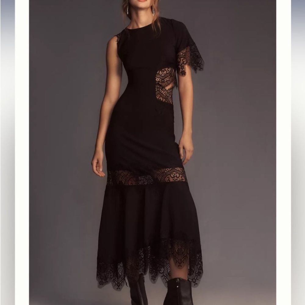 NWT Anthropologie Hutch lace detailed dress, XL
